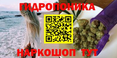 индика Тверь